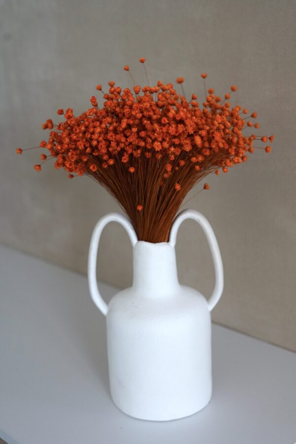 Orange Star Flowers