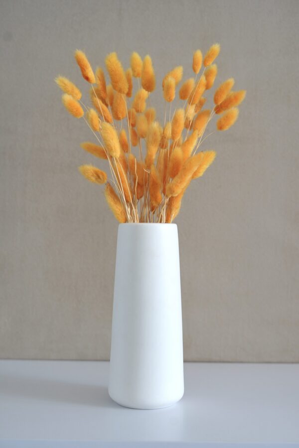 Soft Orange Lagurus Flowers