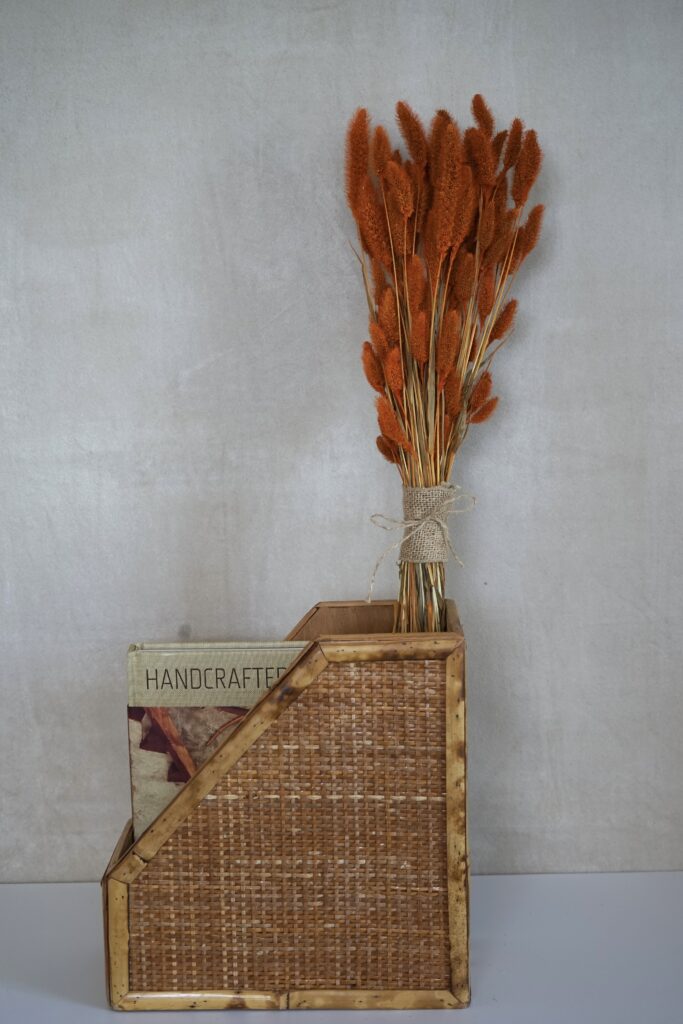 Orange Dried Setaria Grass FlowerFantaSee