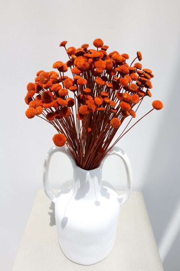 Terracotta Orange Floral Button Flowers