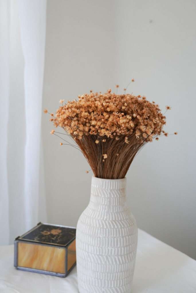 Autumn Mini Star Flowers