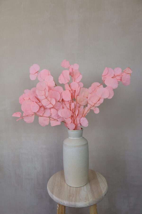 Preserved Silver Dollar Eucalyptus Bush