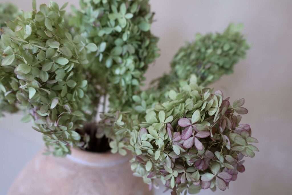 flower arrangements with hydrangeas