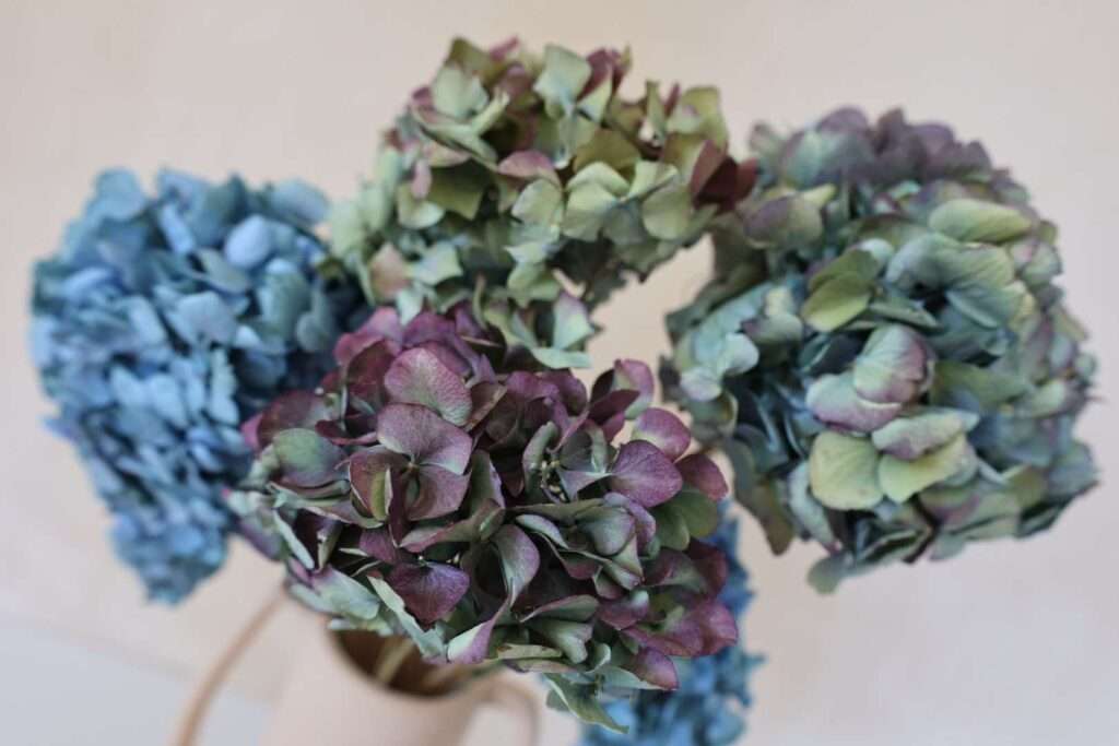 flower arrangements with hydrangeas