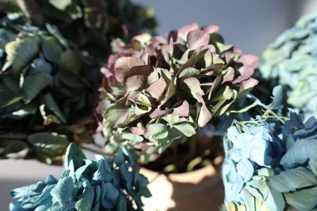 flower arrangements with hydrangeas