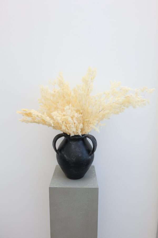 Preserved Ming Fern – Natural Ivory