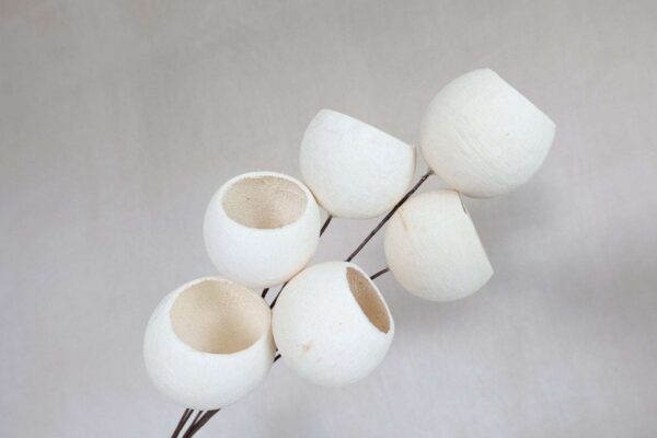 Bleached Bell Cups: Dried Flower Stems, Boho Wedding Decor
