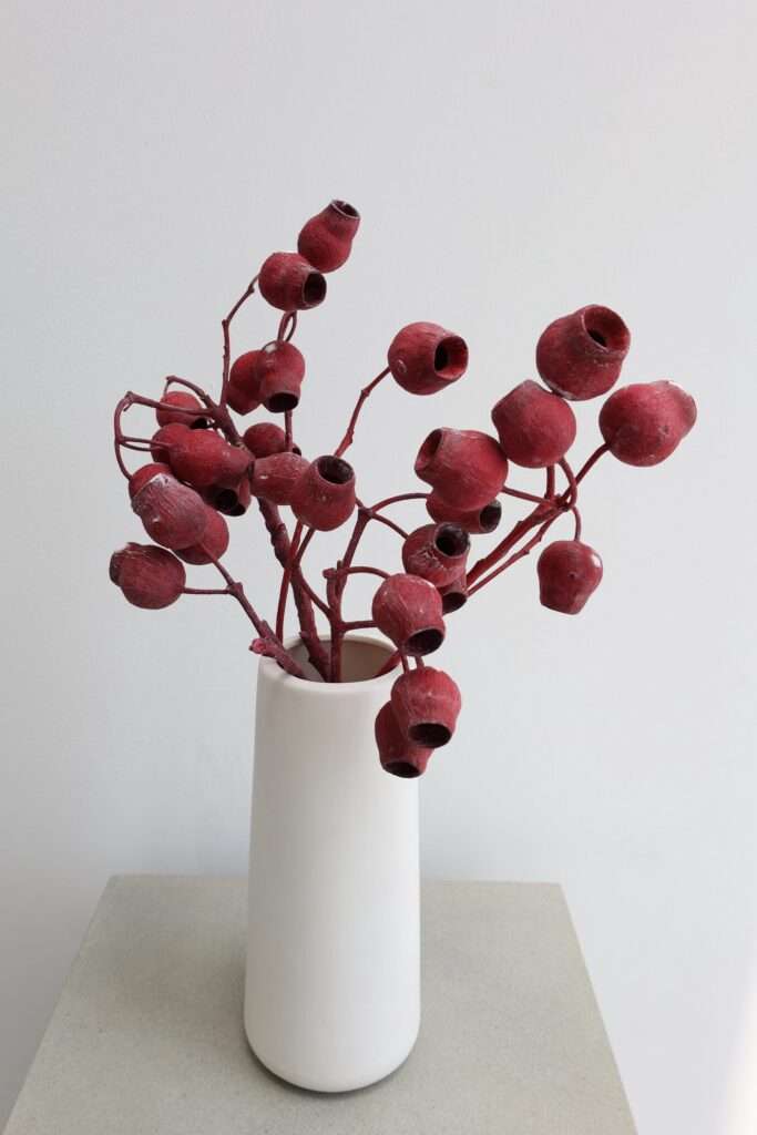 Dried Bellgum Pods – Red (Approx. 20 Pods)