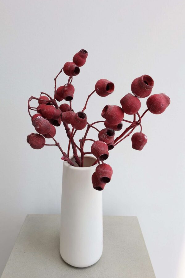 Dried Bellgum Pods – Red (Approx. 20 Pods)