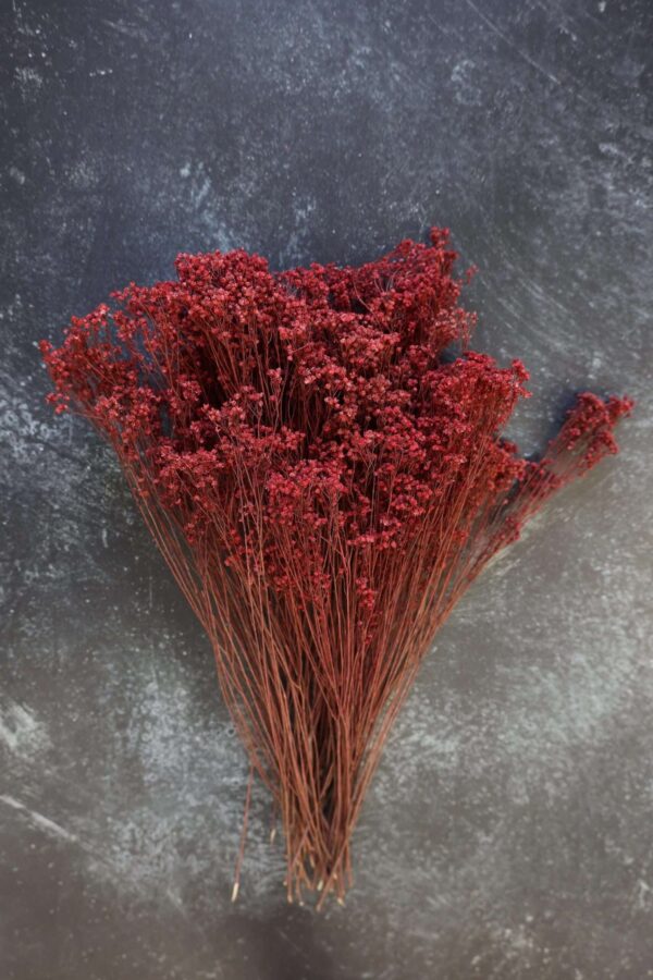 Dried Berry Broom Bloom Stems, Wedding Home Decor
