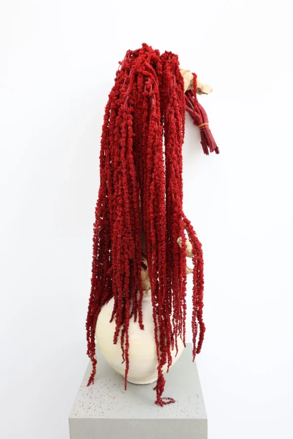 Red Amaranthus Hanging Preserved