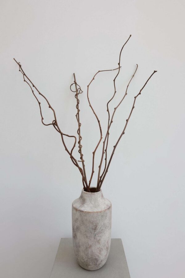 Dried Kiwi Vine Bunch
