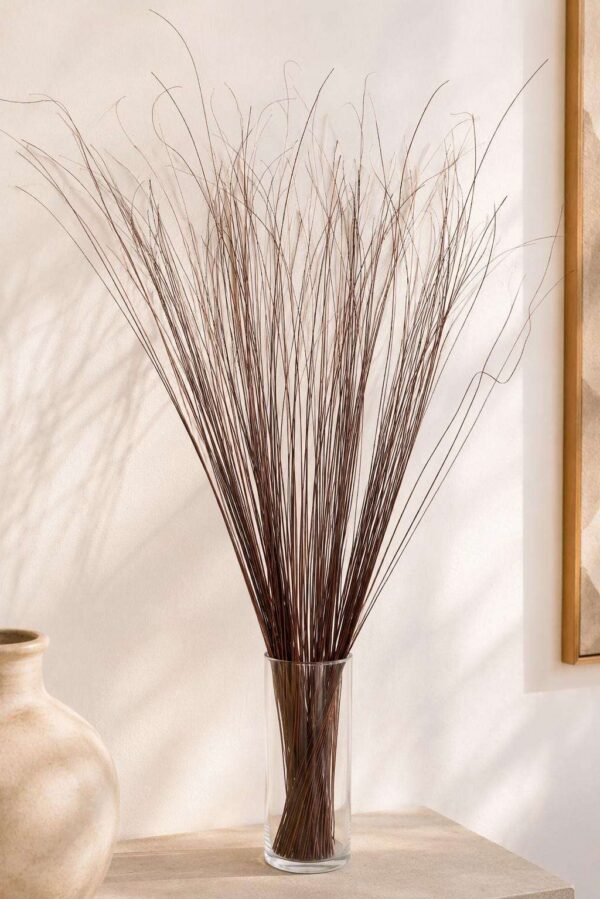 38" Chocolate Ting Ting Bunch| Dried Willow Branches
