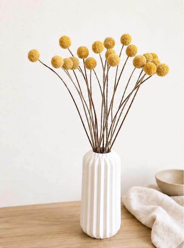 20 pcs Craspedia Natural, Dried billy balls, Dried Flowers, Wedding flowers, Home decor,Wedding decor, Wedding flowers, gift, Bridal Bouquet