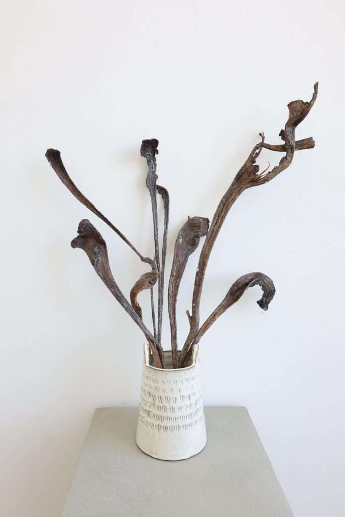 Dried Natraj Stems – Natural Brown (6 Stems)
